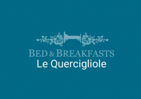 Отель B&B Le Quercigliole  Ripalimosani